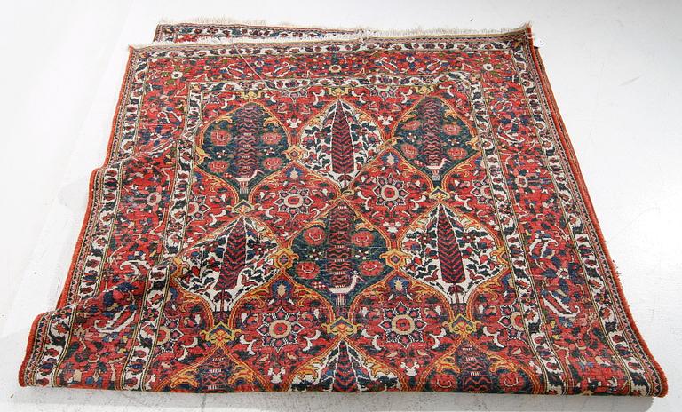 MATTA, semiantik, Bakhtiari, ca 323 x 180.