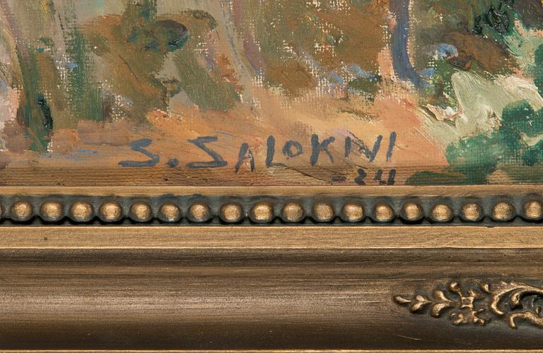 Santeri Salokivi, A view from the archipelago.