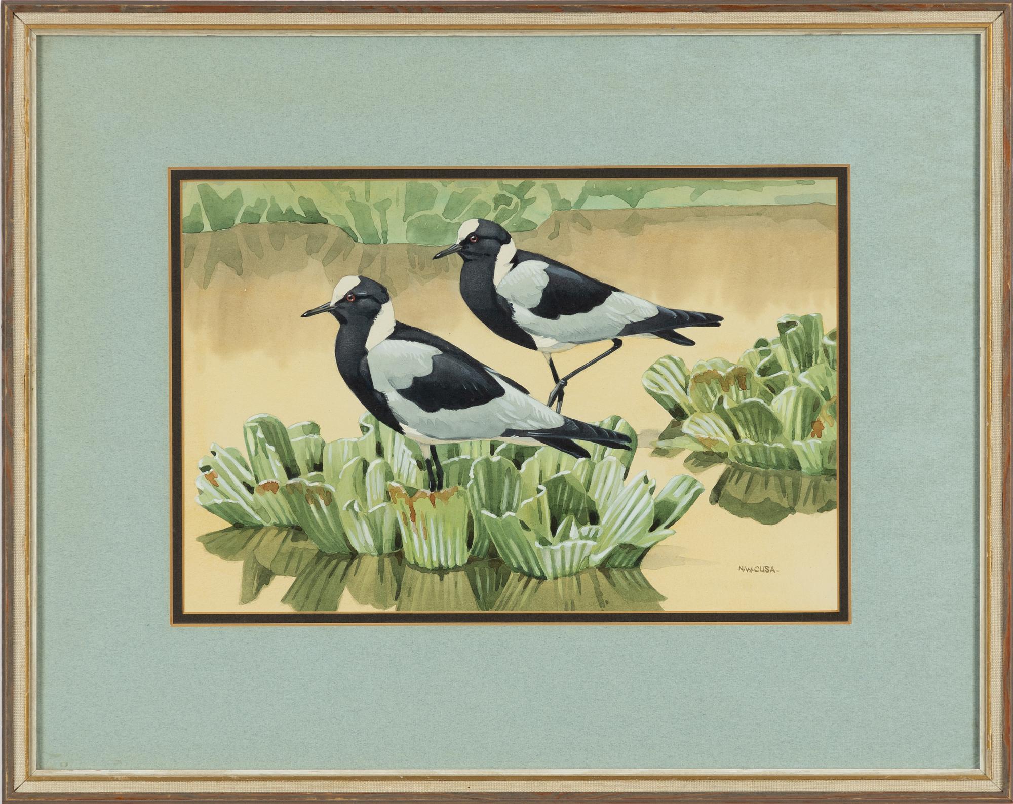 Noel William Cusa, 'Blacksmith Plovers'.