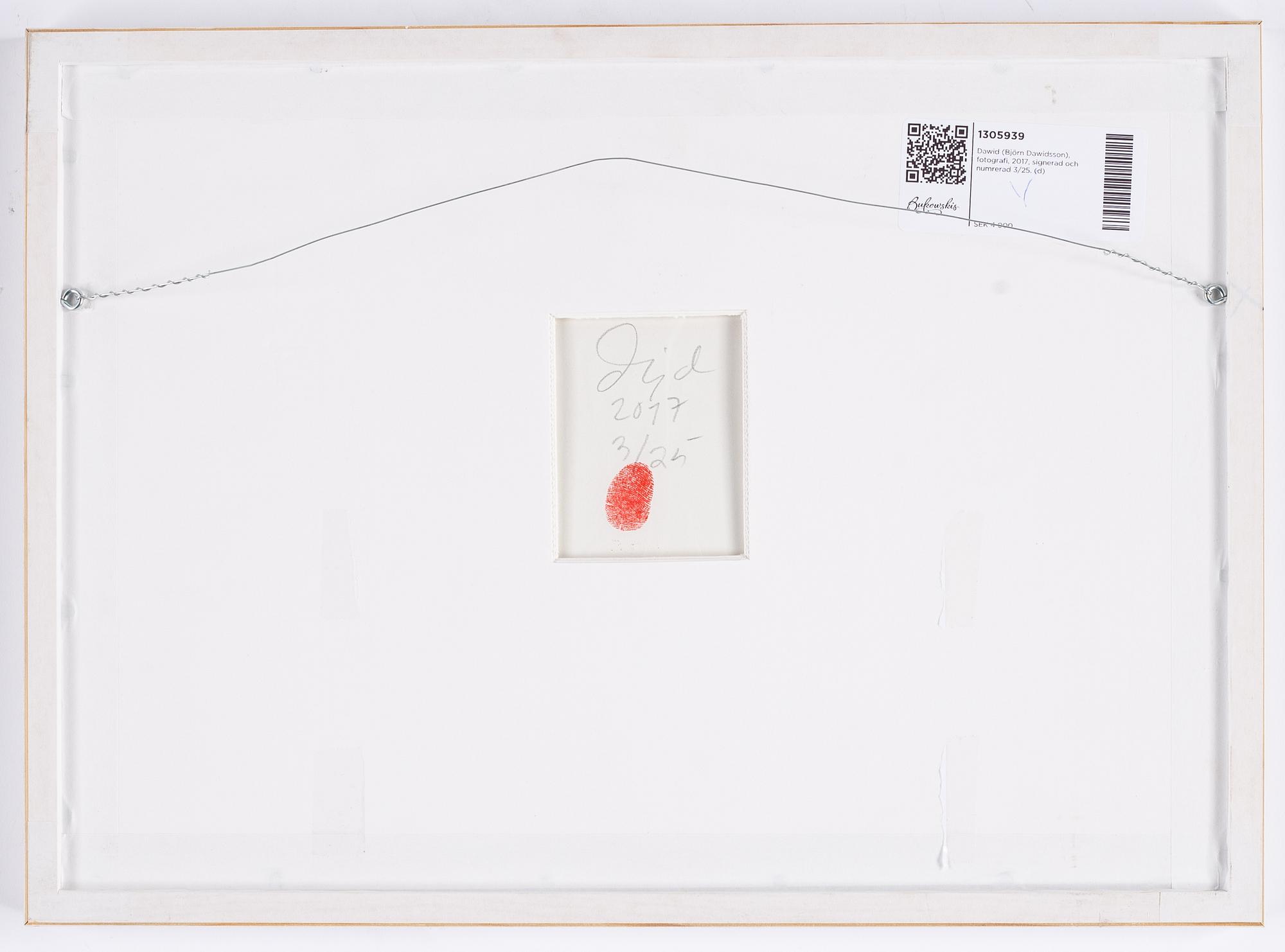 Dawid (Björn Dawidsson), fotografi, 2017, signerad och numrerad 3/25.