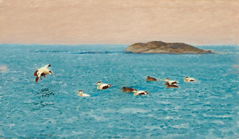 Bruno Liljefors, Eider ducks.