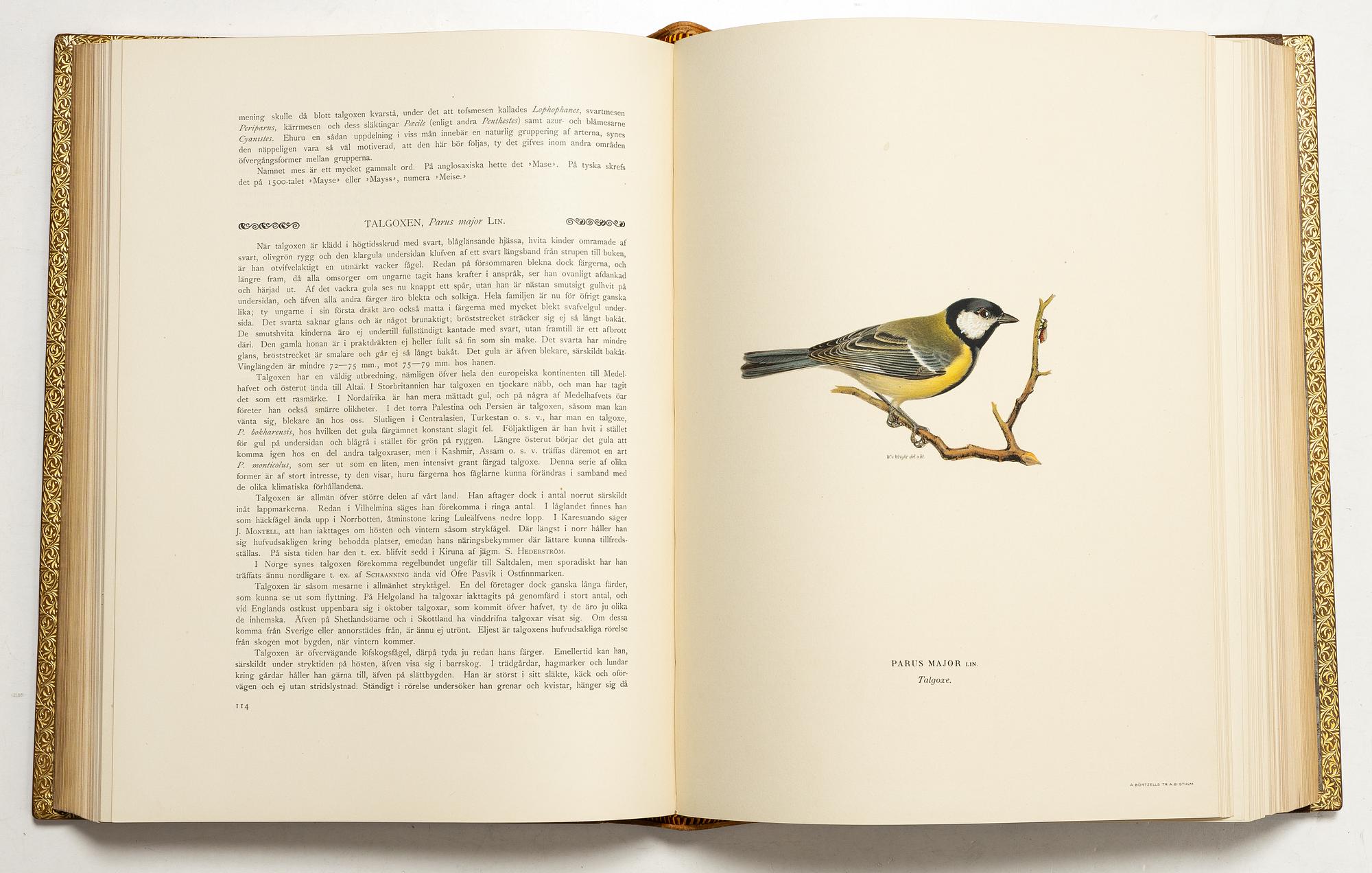 Bröderna von Wright, handkolorerade bibliofilupplagan av "Svenska fåglar", 3 band, Ivar Baarsen, Stockholm, 1925-29. Nummer 30/60.