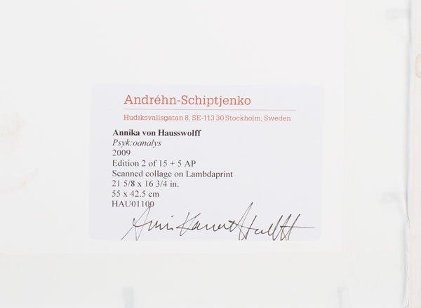 Annika Elisabeth von Hausswolff, "Psyk:oanalys", 2009.