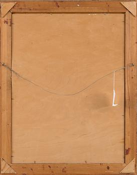 VASILI LEVI, NÄKYMÄ YLI KOSKEN.