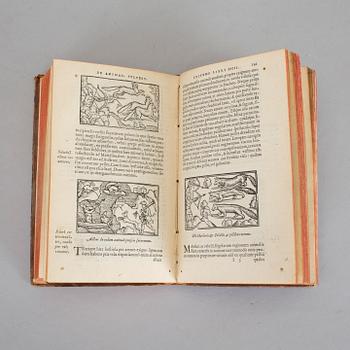 OLAUS MAGNUS (1490-1557). Historia de Gentibus Septentrionalibus. Christopher Plantin, Antwerpen 1558.