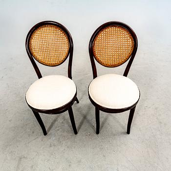 A set of four stained wood chairs, first half of the 20th century.