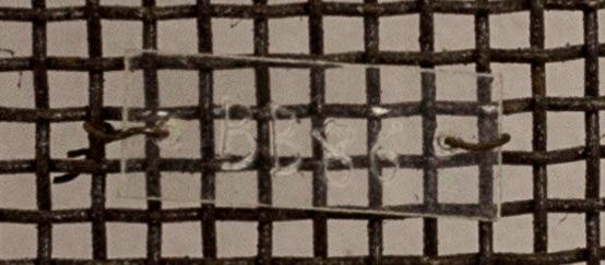 BARBRO BÄCKSTRÖM, skulptur signerad och daterad 86.