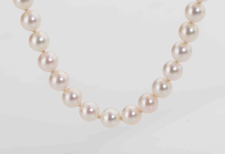 COLLIER, Mikimoto, odlade saltvattenspärlor, ca 1950-tal.