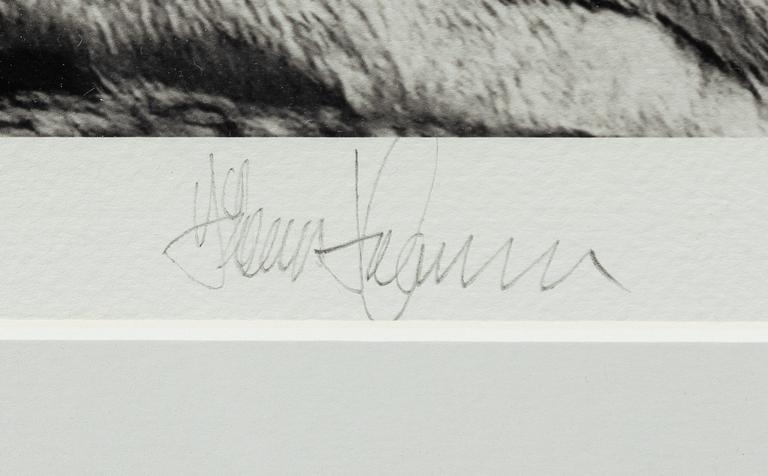 Håkan Ludwigson, "Londolozi", 2008.