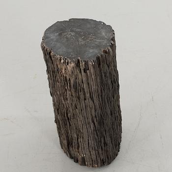 A FOSSILLISED WODDEN TREE.