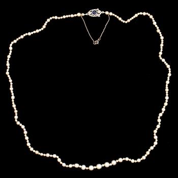 PÄRLCOLLIER. Lås 18K vitguld WA Bolin Stockholm 1964, med cabochonslipad safir och briljanter.