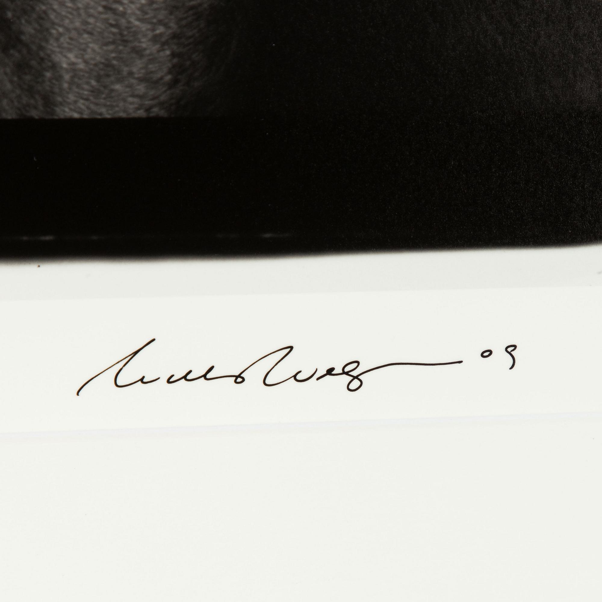 William Wegman, "Friends".