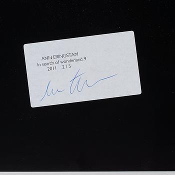 Ann Eringstam, "In search of Wonderland #9", 2011.