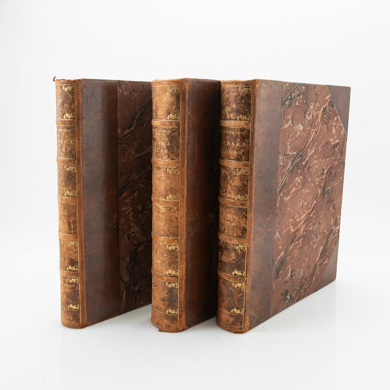The Wright Brothers, book work, 3 volumes, "Swedish Birds", A. Börtzells tryckeri AB, Ivar Baarsen, Stockholm, 1924-1929.