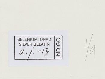 Lennart Nilsson,  "Isbjörnsjakt vid Hvitøya (Vitön), Svalbard, Norge 1947".