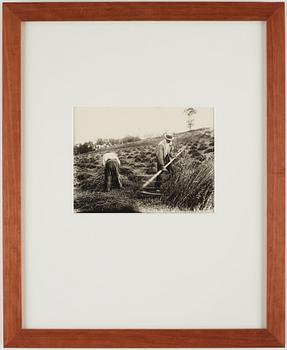 Eugène Atget, "Faucheur", före 1900.