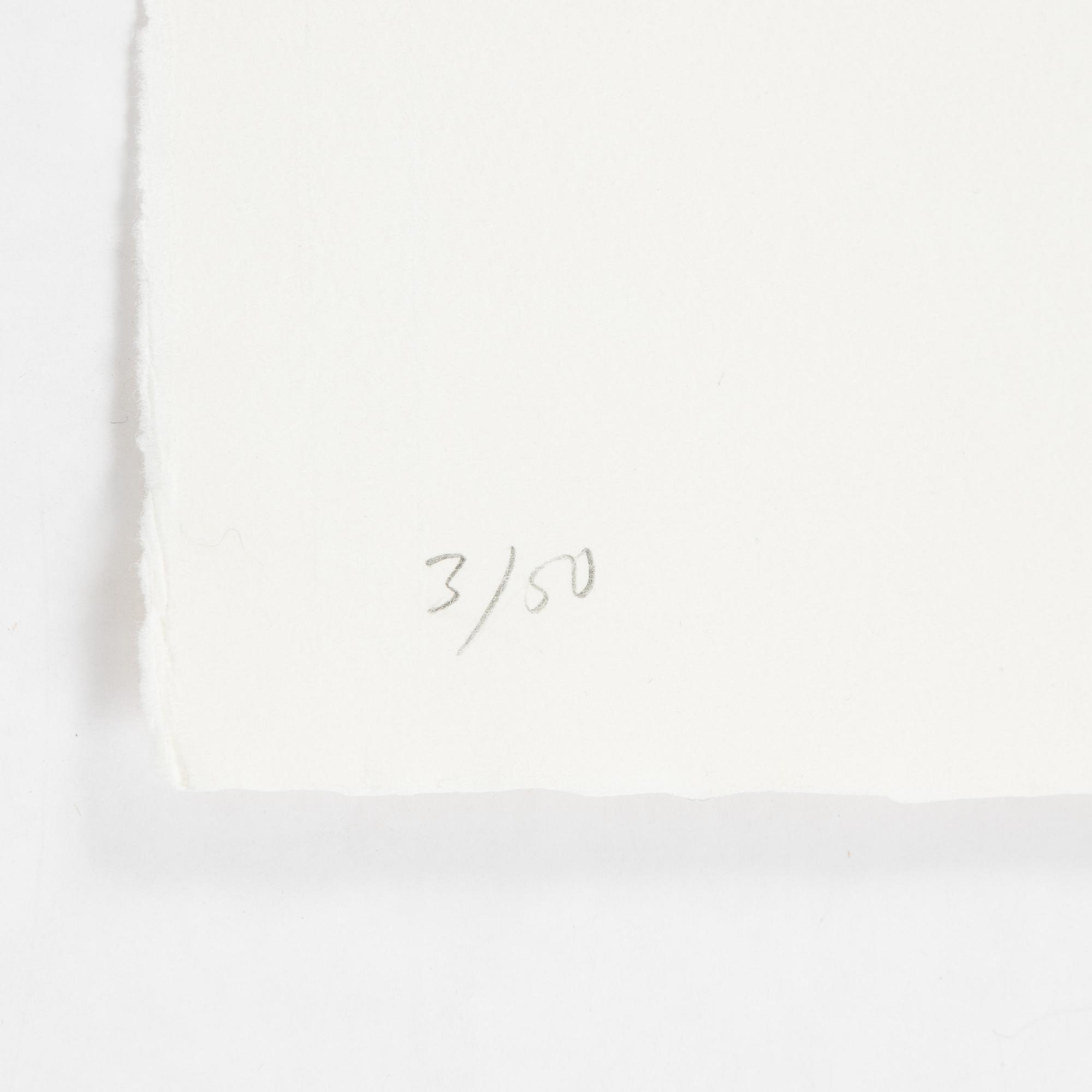 Jan Håfström, etching in colours, 2020, signed 3/50.