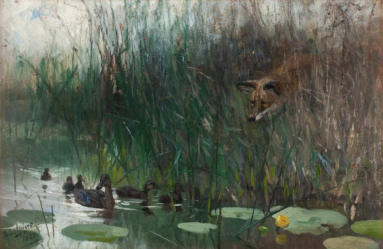 Bruno Liljefors, Fox stalking ducks.