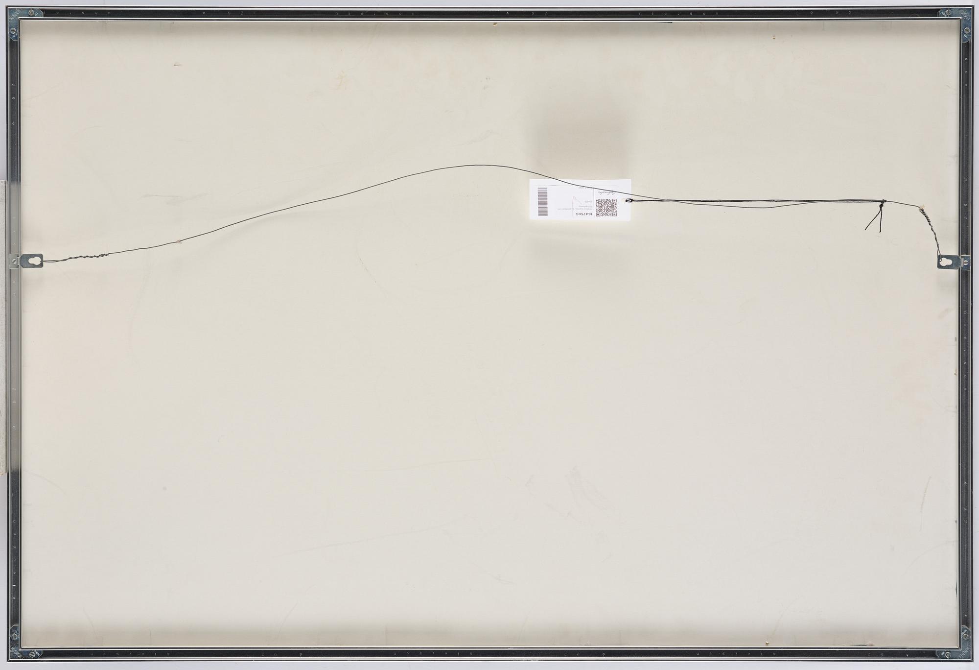 Franco Costa, "Scandinavian Symphonie".