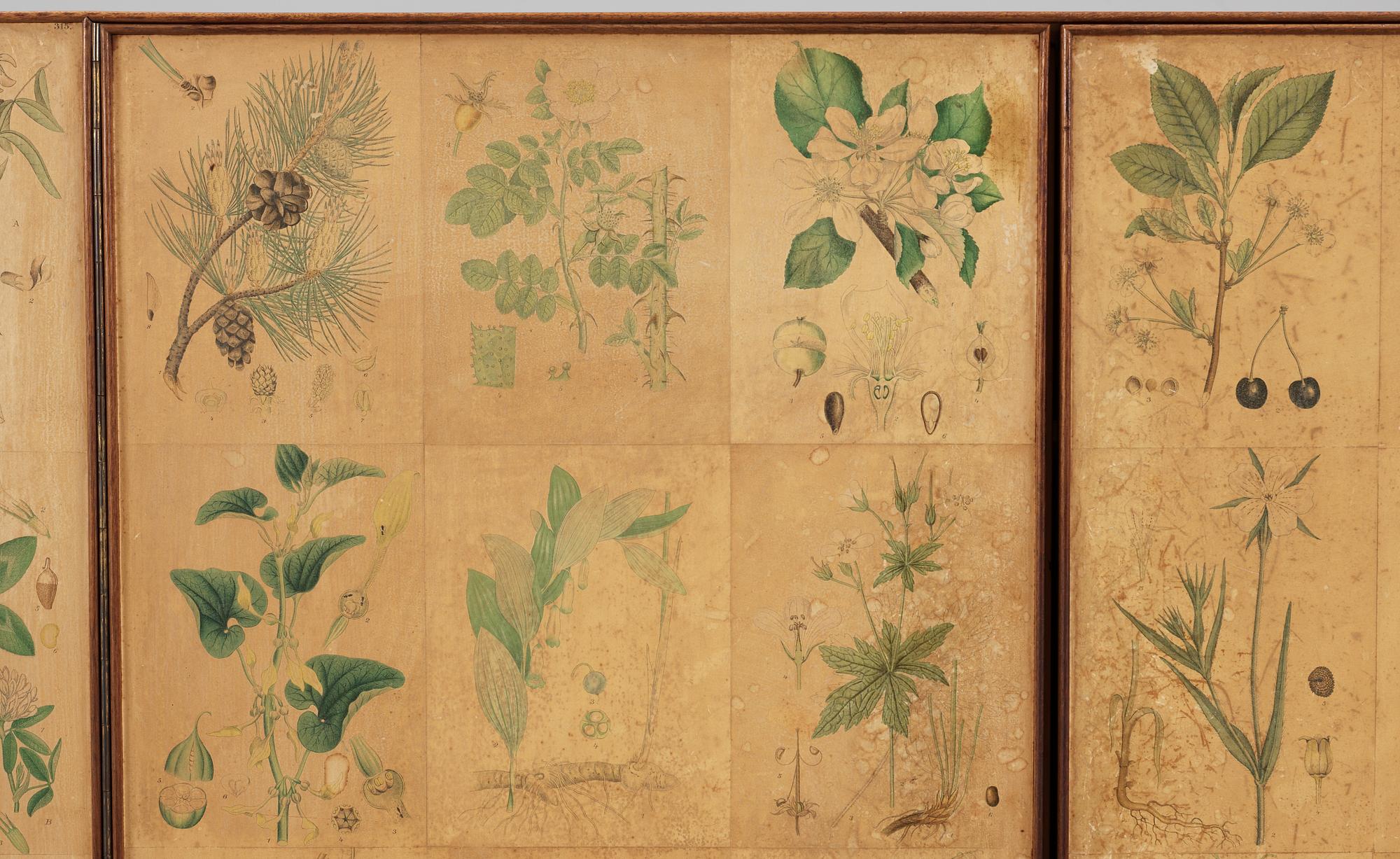 A Josef Frank 'Flora' cabinet by Svenskt Tenn, ca 1940.
