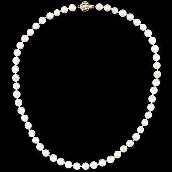 PÄRLCOLLIER, odlade saltvattenspärlor med lås i 18k guld, 1900-talets andra hälft.