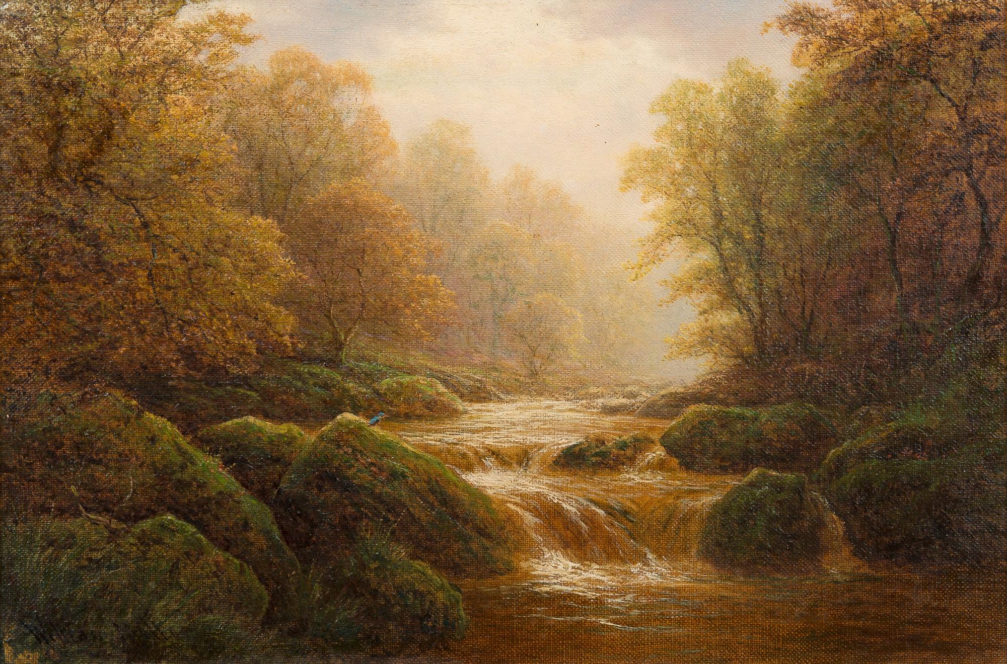 William Mellor, "PADLEY WOODS, DERBYSHIRE".
