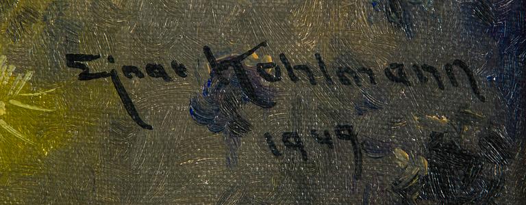 Ejnar Kohlmann, White-tailed eagle.