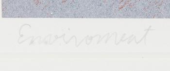 Kristian Krokfors, "Environment".
