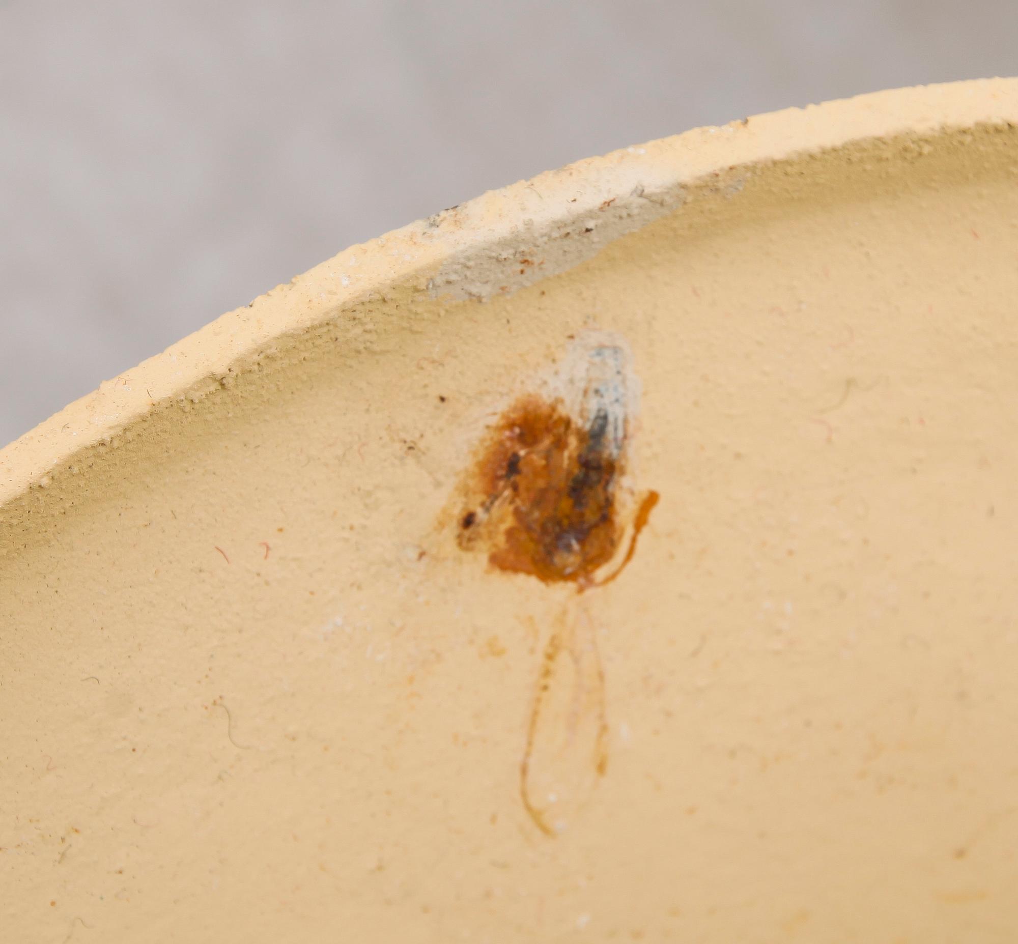 TRÄDGÅRDSURNOR, 1 par, gjutjärn, 1900-tal.