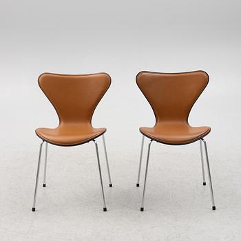 Arne Jacobsen, stolar 6 st "Sjuan" för Fritz Hansen, Danmark, 2020.