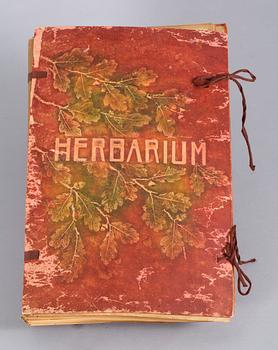 HERBARIUM. 1920-tal.