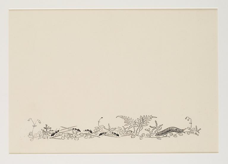 Elsa Beskow, Petter och Lotta möter kolaren inne i skogen.