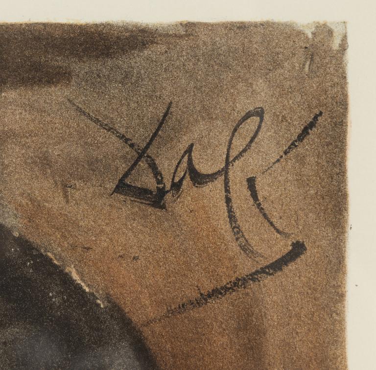 Salvador Dalí, Portrait of Escamillo.