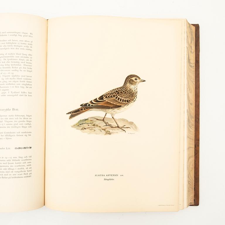 The Wright Brothers, book work, 3 volumes, "Swedish Birds", A. Börtzells tryckeri AB, Ivar Baarsen, Stockholm, 1927-1929.
