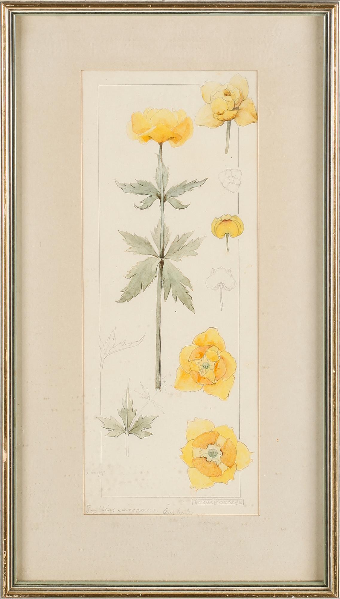 GERDA LYTTKENS, 10 st, akvareller, signerade.