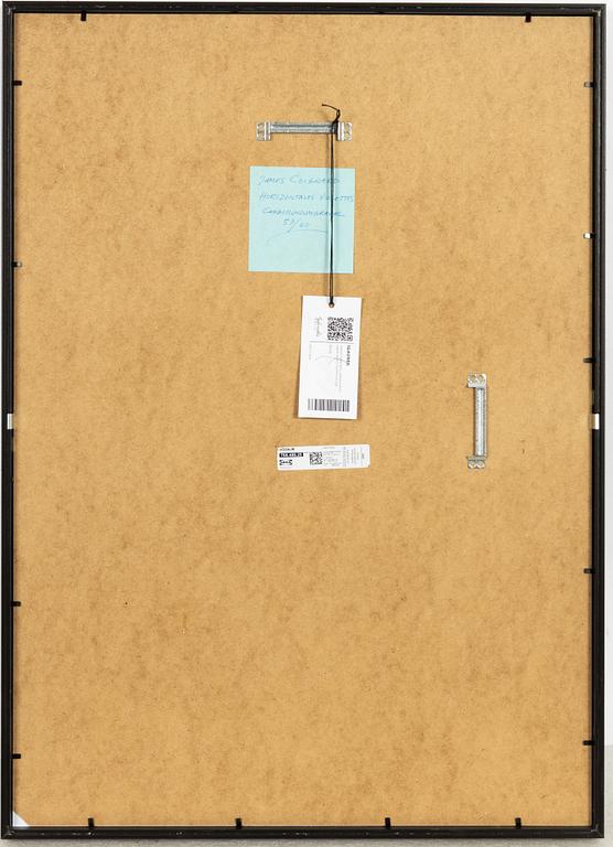 James Coignard, Untitled.