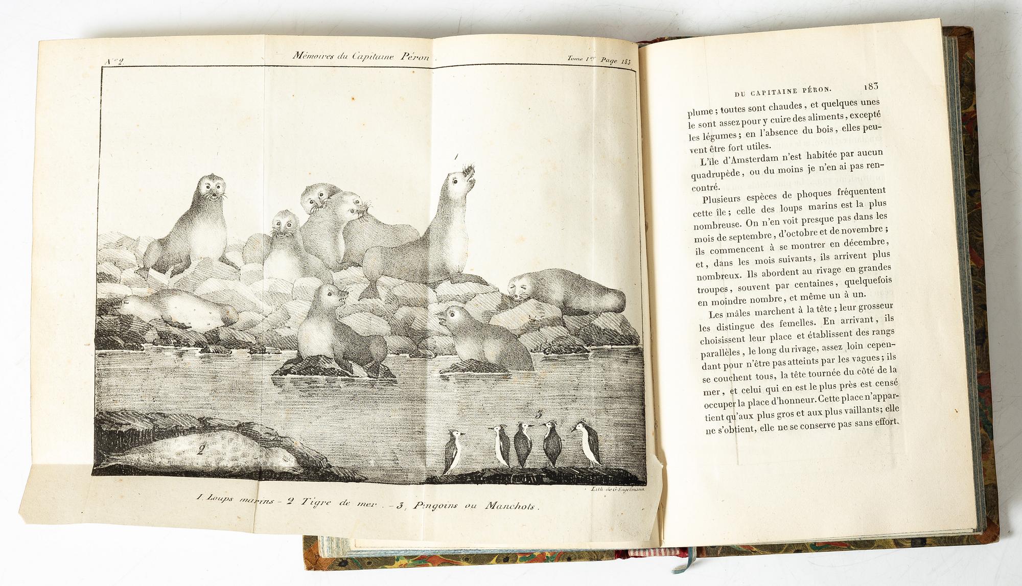 On Africa, Arabia, America, China etc., beautifully bound, from Säfstaholm.