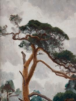 Bruno Liljefors, Pine.