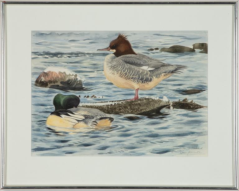 Lars Jonsson, "Storskrakepar".