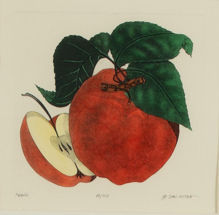 Dan Mitra, a suite of six etchings, framed together.