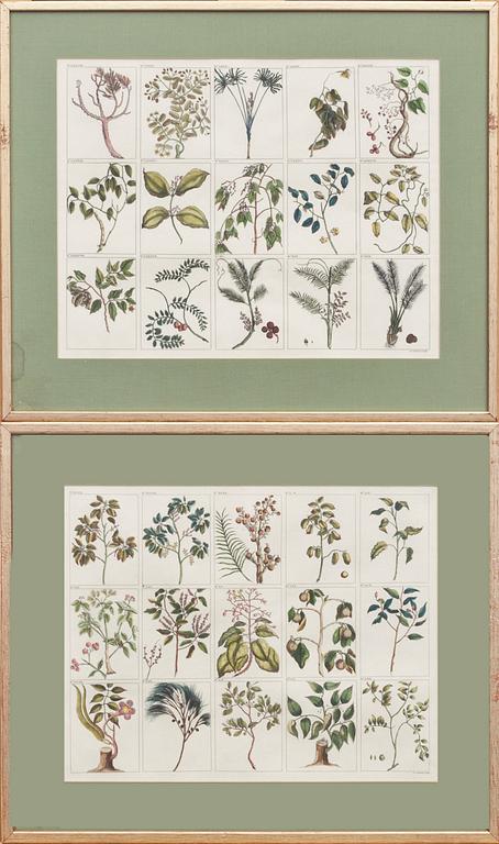 GRAFISKA BLAD, 2 st, 1800-tal.
