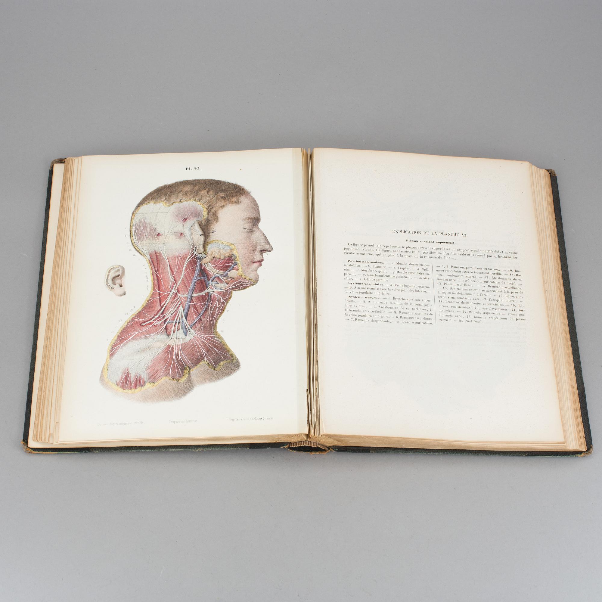 ATLAS, "Systeme Nerveux", Ludovic Hirschfeld, Victor Masson et Fils,  Paris, 1866.