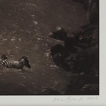 Nick Brandt, "Zebra River Crossing, Masai Mara, 2006".