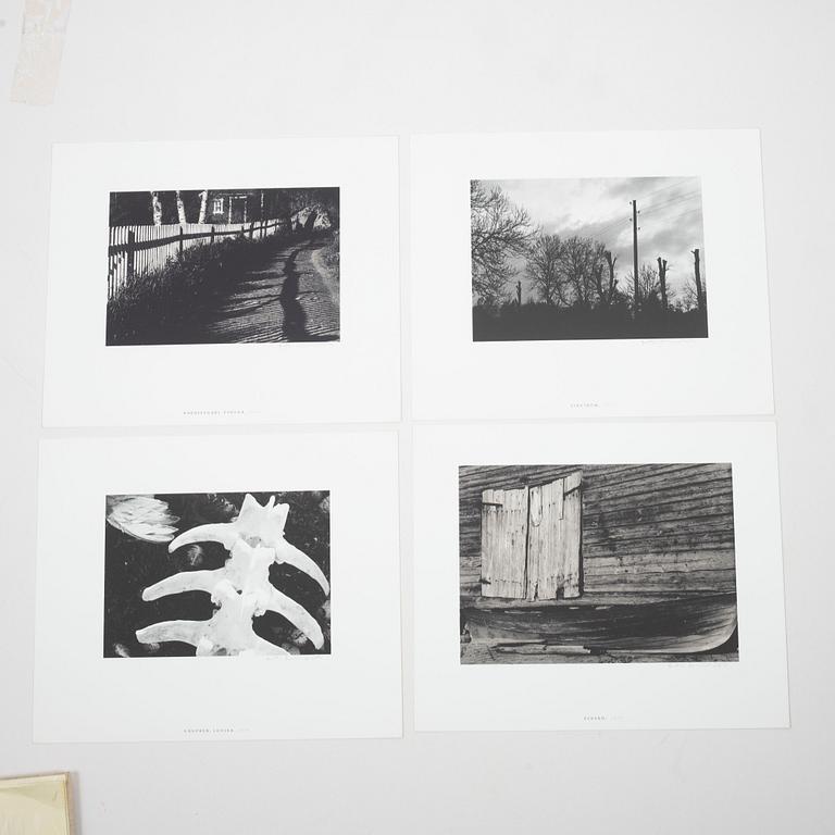 Pentti Sammallahti, "Rannalla".