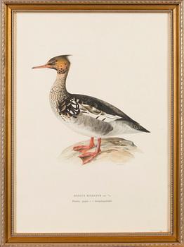 LITHOGRAPHS, 5 pcs, after Wilhelm von Wright and Bror Hallberg. A. Börtzell, Stockholm.