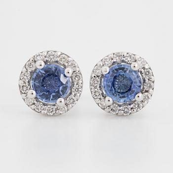 Sapphire and brilliant-cut diamond earrings.