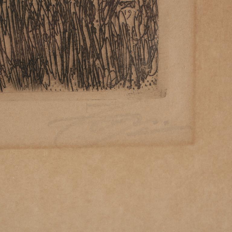 ANDERS ZORN, etsning, signerad och otydligt daterad i plåten 1917.