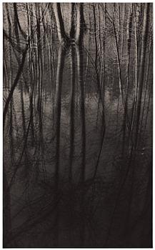 GUNNAR SMOLIANSKY, gelatin silver print signed on verso.