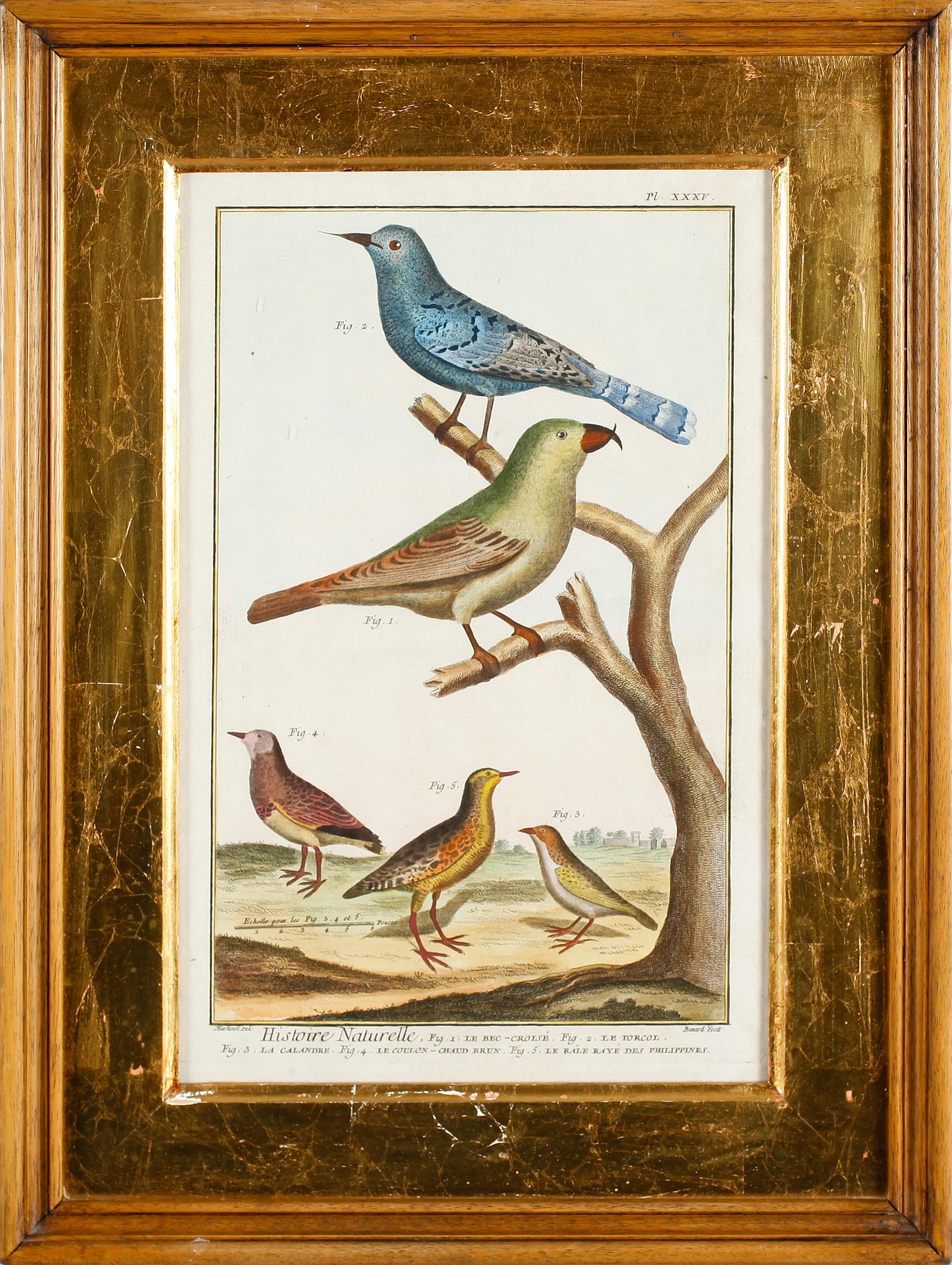 GRAVYRER, 2 st, efter Martinet, kolorerade, 1800-tal.