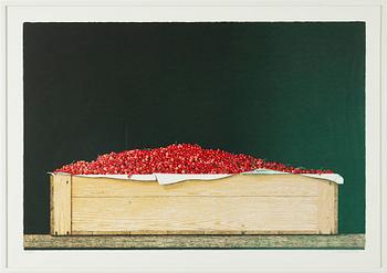 Philip von Schantz, "Red currants III".